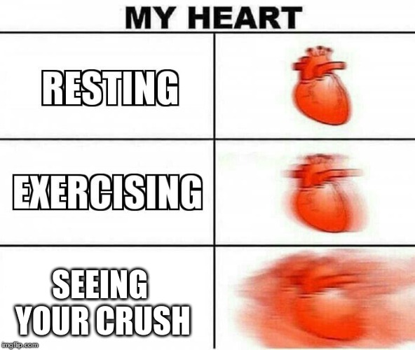 MY HEART | SEEING YOUR CRUSH | image tagged in my heart | made w/ Imgflip meme maker