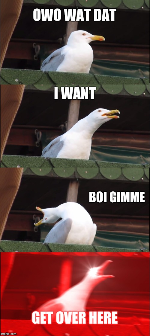 Inhaling Seagull Meme | OWO WAT DAT; I WANT; BOI GIMME; GET OVER HERE | image tagged in memes,inhaling seagull | made w/ Imgflip meme maker