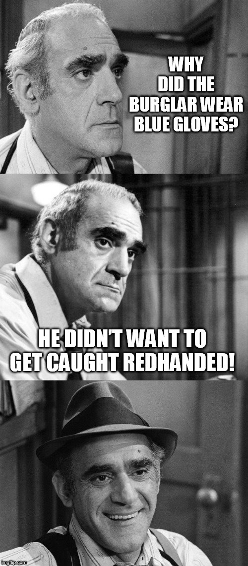 Fish Puns | WHY DID THE BURGLAR WEAR BLUE GLOVES? HE DIDN’T WANT TO GET CAUGHT REDHANDED! | image tagged in fish puns,memes,barney miller,jokes,police,tv series | made w/ Imgflip meme maker