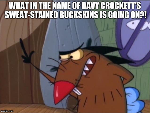 What in the name of Davy Crockett's sweat-stained buckskins is going on?! | WHAT IN THE NAME OF DAVY CROCKETT'S SWEAT-STAINED BUCKSKINS IS GOING ON?! | image tagged in dagget beaver,angry beavers | made w/ Imgflip meme maker