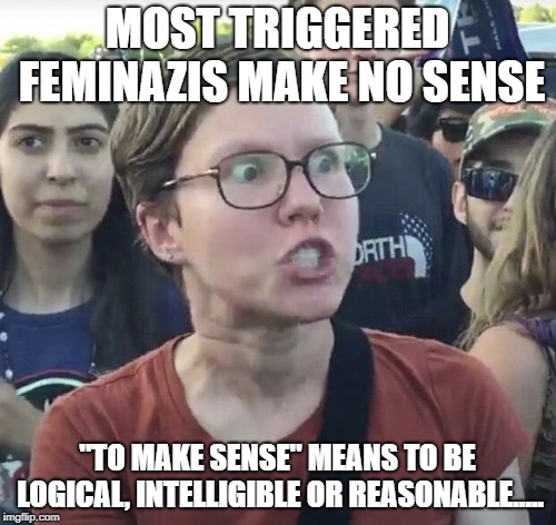 Triggered feminist | MOST TRIGGERED FEMINAZIS MAKE NO SENSE "TO MAKE SENSE" MEANS TO BE LOGICAL, INTELLIGIBLE OR REASONABLE..... | image tagged in triggered feminist | made w/ Imgflip meme maker