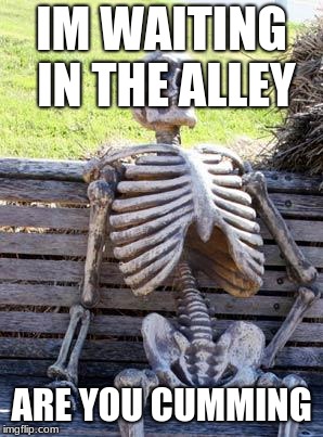 Waiting Skeleton | IM WAITING IN THE ALLEY; ARE YOU CUMMING | image tagged in memes,waiting skeleton | made w/ Imgflip meme maker