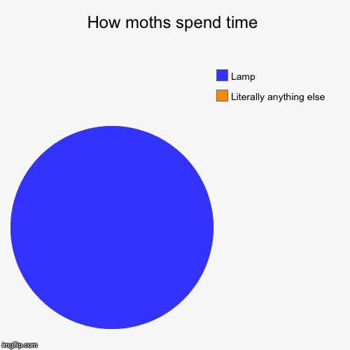 How moths spend time | Literally anything else, Lamp | image tagged in funny,pie charts | made w/ Imgflip chart maker