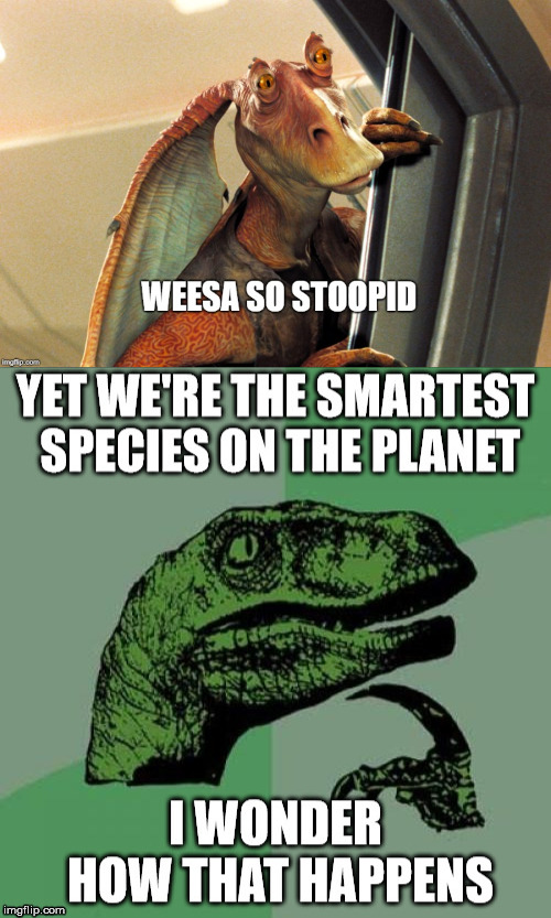 History is stoopid | image tagged in history,memes,philosoraptor,wtf,humans,stupidity | made w/ Imgflip meme maker