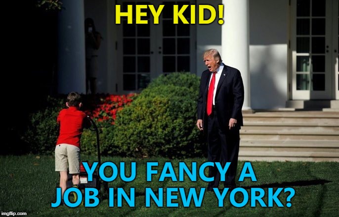Donald Trump finds a replacement for Nikki Haley... :) | HEY KID! YOU FANCY A JOB IN NEW YORK? | image tagged in trump lawn mower,memes,nikki haley,donald trump,un ambassador,politics | made w/ Imgflip meme maker