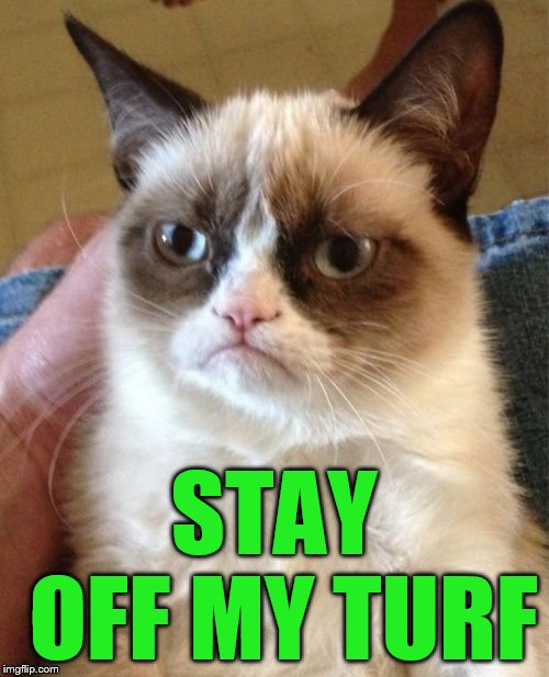 Grumpy Cat Meme | STAY OFF MY TURF | image tagged in memes,grumpy cat | made w/ Imgflip meme maker