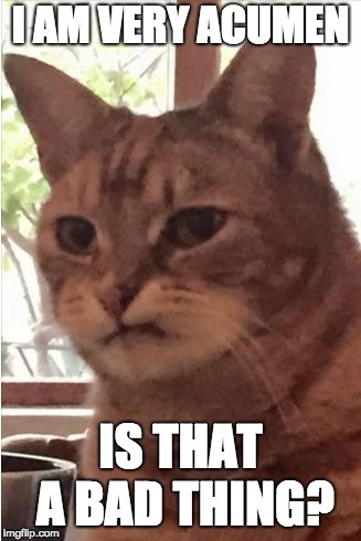 judgmental cat | I AM VERY ACUMEN; IS THAT A BAD THING? | image tagged in judgmental cat | made w/ Imgflip meme maker