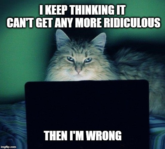 I KEEP THINKING IT CAN'T GET ANY MORE RIDICULOUS; THEN I'M WRONG | image tagged in cat,internet cat,internet,ridiculous,humans,much wow | made w/ Imgflip meme maker