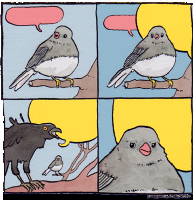 Birds meme Blank Meme Template