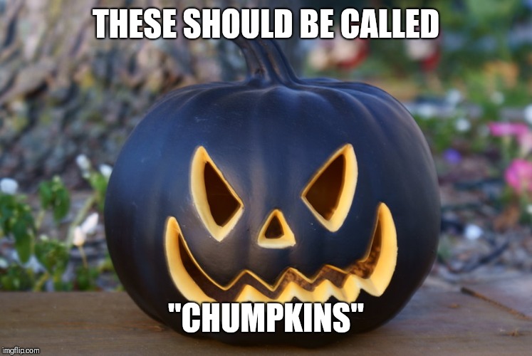 Chumkin | THESE SHOULD BE CALLED; "CHUMPKINS" | image tagged in halloween | made w/ Imgflip meme maker