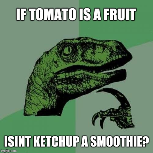 Philosoraptor | IF TOMATO IS A FRUIT; ISINT KETCHUP A SMOOTHIE? | image tagged in memes,philosoraptor | made w/ Imgflip meme maker