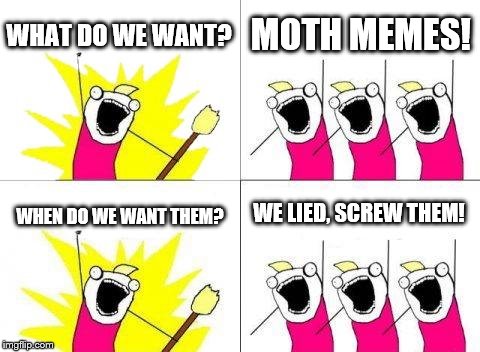 What Do We Want Meme | WHAT DO WE WANT? MOTH MEMES! WHEN DO WE WANT THEM? WE LIED, SCREW THEM! | image tagged in memes,what do we want | made w/ Imgflip meme maker