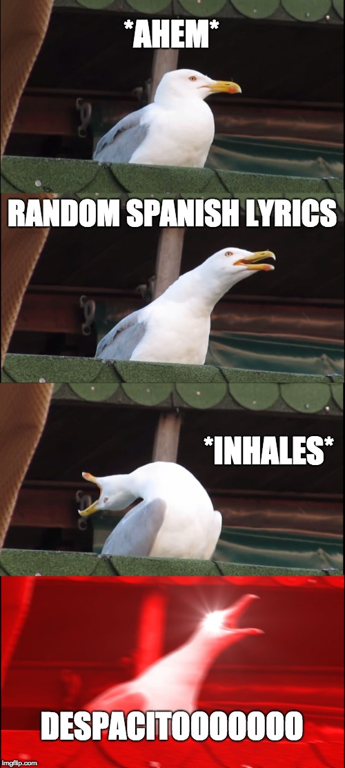 Inhaling Seagull Meme | *AHEM*; RANDOM SPANISH LYRICS; *INHALES*; DESPACITOOOOOOO | image tagged in memes,inhaling seagull | made w/ Imgflip meme maker