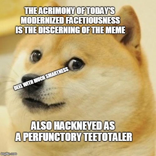 Doge Meme | THE ACRIMONY OF TODAY'S MODERNIZED FACETIOUSNESS IS THE DISCERNING OF THE MEME; DEEL WITH MUCH SMARTNESS; ALSO HACKNEYED AS A PERFUNCTORY TEETOTALER | image tagged in memes,doge | made w/ Imgflip meme maker