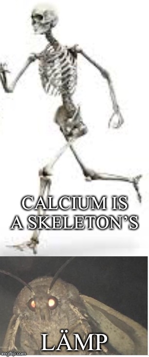 Calcilämp  | CALCIUM IS A SKELETON’S; LÄMP | image tagged in spooktober,lmp,calcium,moth,skeleton | made w/ Imgflip meme maker