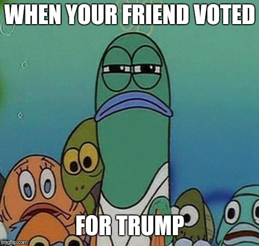 SpongeBob | WHEN YOUR FRIEND VOTED; FOR TRUMP | image tagged in spongebob | made w/ Imgflip meme maker
