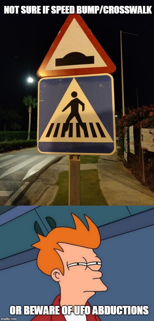 The Truth Is Out There |  NOT SURE IF SPEED BUMP/CROSSWALK; OR BEWARE OF UFO ABDUCTIONS | image tagged in not sure if,ufo | made w/ Imgflip meme maker