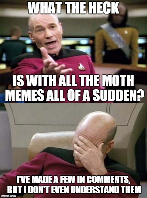 Picard WTF and Facepalm combined | WHAT THE HECK I'VE MADE A FEW IN COMMENTS, BUT I DON'T EVEN UNDERSTAND THEM IS WITH ALL THE MOTH MEMES ALL OF A SUDDEN? | image tagged in picard wtf and facepalm combined | made w/ Imgflip meme maker