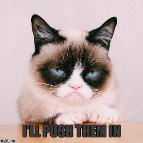 grumpy cat again | I'LL PUSH THEM IN | image tagged in grumpy cat again | made w/ Imgflip meme maker
