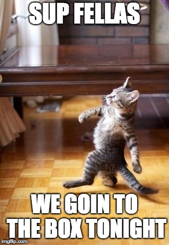 Cool Cat Stroll Meme | SUP FELLAS; WE GOIN TO THE BOX TONIGHT | image tagged in memes,cool cat stroll | made w/ Imgflip meme maker