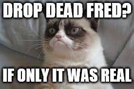 Grumpy cat | DROP DEAD FRED? IF ONLY IT WAS REAL | image tagged in grumpy cat | made w/ Imgflip meme maker