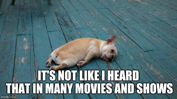 tired dog | IT'S NOT LIKE I HEARD THAT IN MANY MOVIES AND SHOWS | image tagged in tired dog | made w/ Imgflip meme maker