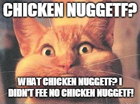 CHICKEN NUGGETF? WHAT CHICKEN NUGGETF? I DIDN'T FEE NO CHICKEN NUGGETF! | made w/ Imgflip meme maker