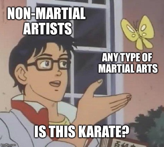 For example, I do Tae Kwon Do, and some people mistake it for karate. | NON-MARTIAL ARTISTS; ANY TYPE OF MARTIAL ARTS; IS THIS KARATE? | image tagged in memes,is this a pigeon | made w/ Imgflip meme maker