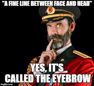 captain obvious | "A FINE LINE BETWEEN FACE AND HEAD" YES, IT'S CALLED THE EYEBROW | image tagged in captain obvious | made w/ Imgflip meme maker