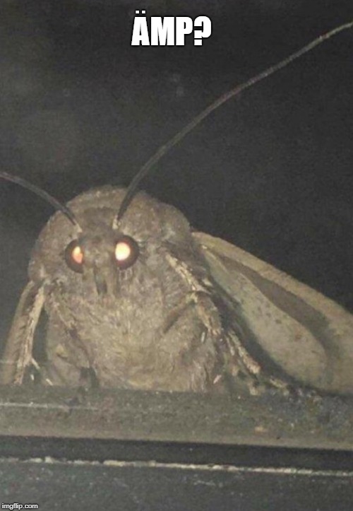 Moth | AMP? . . | image tagged in moth | made w/ Imgflip meme maker