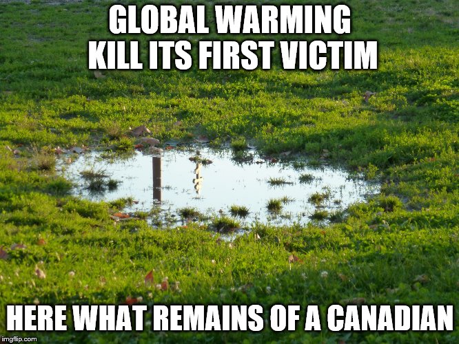 puddle-flood | GLOBAL WARMING KILL ITS FIRST VICTIM; HERE WHAT REMAINS OF A CANADIAN | image tagged in puddle-flood | made w/ Imgflip meme maker