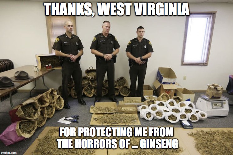 This really is seized ginseng | THANKS, WEST VIRGINIA; FOR PROTECTING ME FROM THE HORRORS OF … GINSENG | image tagged in ginseng,wv | made w/ Imgflip meme maker