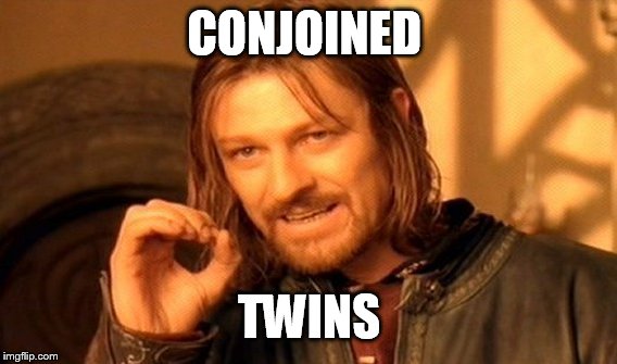 One Does Not Simply Meme | CONJOINED TWINS | image tagged in memes,one does not simply | made w/ Imgflip meme maker