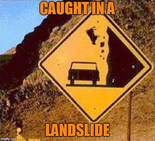Falling Cows | CAUGHT IN A LANDSLIDE | image tagged in falling cows | made w/ Imgflip meme maker