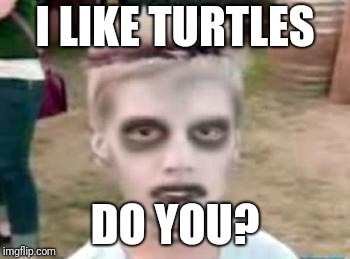 I like turtles | I LIKE TURTLES; DO YOU? | image tagged in i like turtles | made w/ Imgflip meme maker