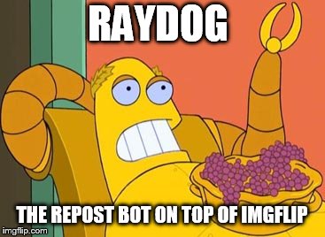 Hedonism Bot Meme | RAYDOG THE REPOST BOT ON TOP OF IMGFLIP | image tagged in memes,hedonism bot | made w/ Imgflip meme maker