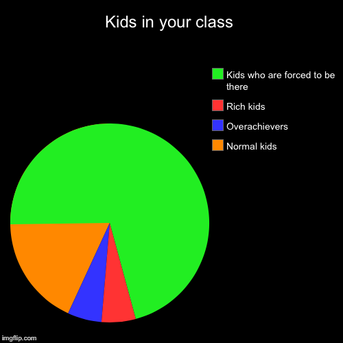 Kids in your class | Normal kids, Overachievers, Rich kids, Kids who are forced to be there | image tagged in funny,pie charts,kids,rich kids,smart,class | made w/ Imgflip chart maker