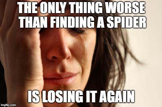 First World Problems Meme | THE ONLY THING WORSE THAN FINDING A SPIDER; IS LOSING IT AGAIN | image tagged in memes,first world problems | made w/ Imgflip meme maker