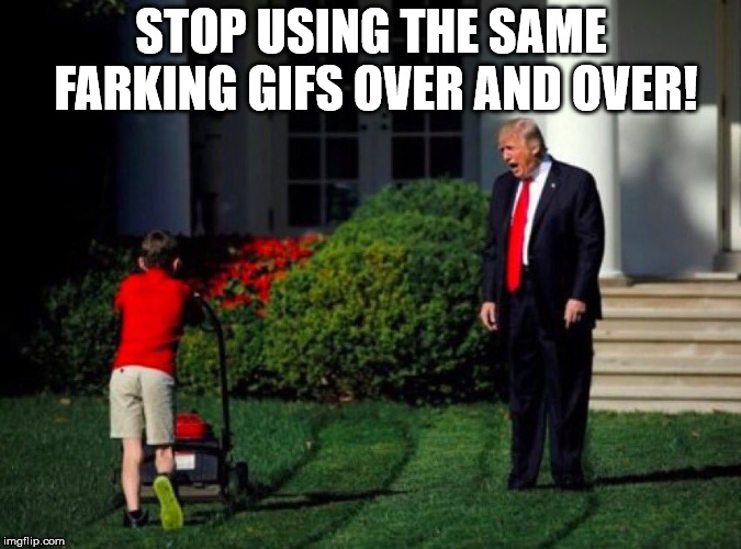 Trump yells at lawnmower kid | STOP USING THE SAME FARKING GIFS OVER AND OVER! | image tagged in trump yells at lawnmower kid | made w/ Imgflip meme maker