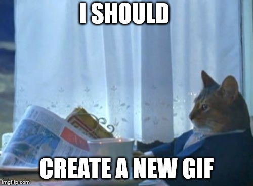 I Should Buy A Boat Cat Meme | I SHOULD; CREATE A NEW GIF | image tagged in memes,i should buy a boat cat | made w/ Imgflip meme maker