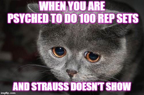 Sad cat | WHEN YOU ARE PSYCHED TO DO 100 REP SETS; AND STRAUSS DOESN'T SHOW | image tagged in sad cat | made w/ Imgflip meme maker