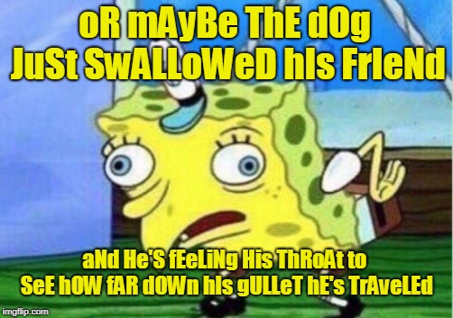 Mocking Spongebob Meme | oR mAyBe ThE dOg JuSt SwALLoWeD hIs FrIeNd aNd He'S fEeLiNg His ThRoAt to SeE hOW fAR dOWn hIs gULLeT hE's TrAveLEd | image tagged in memes,mocking spongebob | made w/ Imgflip meme maker