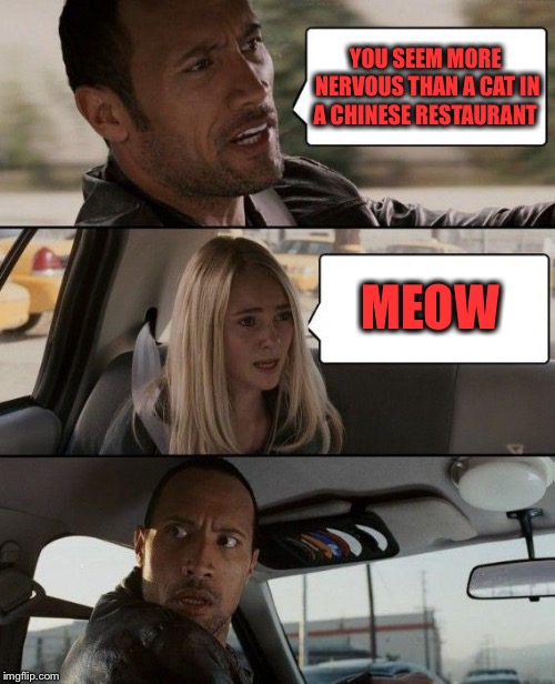 Old joke  | YOU SEEM MORE NERVOUS THAN A CAT IN A CHINESE RESTAURANT; MEOW | image tagged in memes,the rock driving,chinese food | made w/ Imgflip meme maker