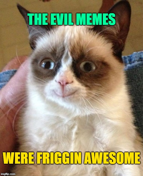 Grumpy Cat Happy Meme | WERE FRIGGIN AWESOME THE EVIL MEMES | image tagged in memes,grumpy cat happy,grumpy cat | made w/ Imgflip meme maker