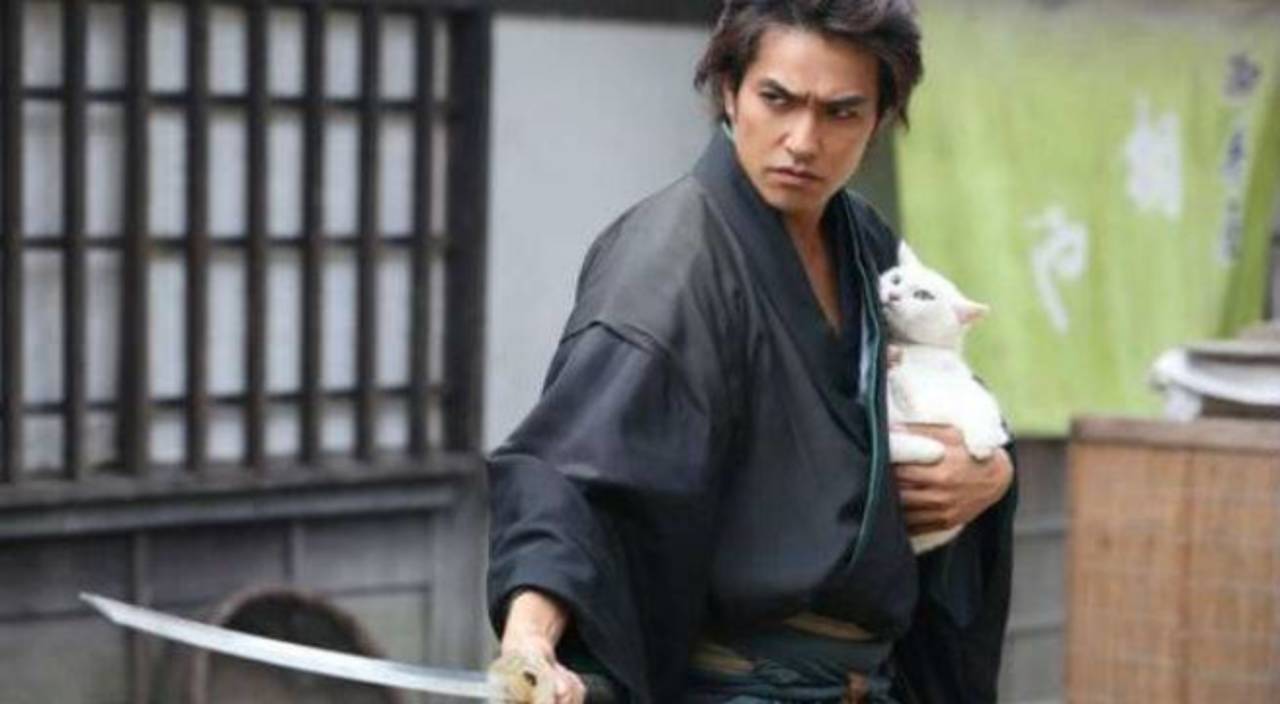 High Quality Samurai Protecting Cat Blank Meme Template