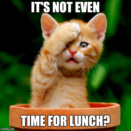 kitten facepalm | IT'S NOT EVEN TIME FOR LUNCH? | image tagged in kitten facepalm | made w/ Imgflip meme maker