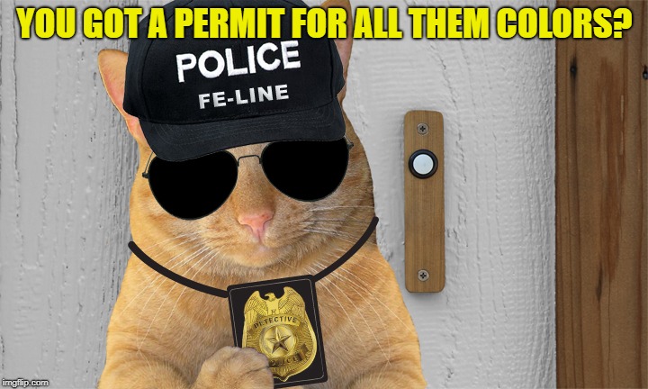 YOU GOT A PERMIT FOR ALL THEM COLORS? | made w/ Imgflip meme maker