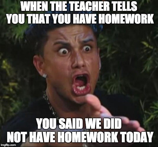 DJ Pauly D Meme | WHEN THE TEACHER TELLS YOU THAT YOU HAVE HOMEWORK; YOU SAID WE DID NOT HAVE HOMEWORK TODAY | image tagged in memes,dj pauly d,scumbag | made w/ Imgflip meme maker