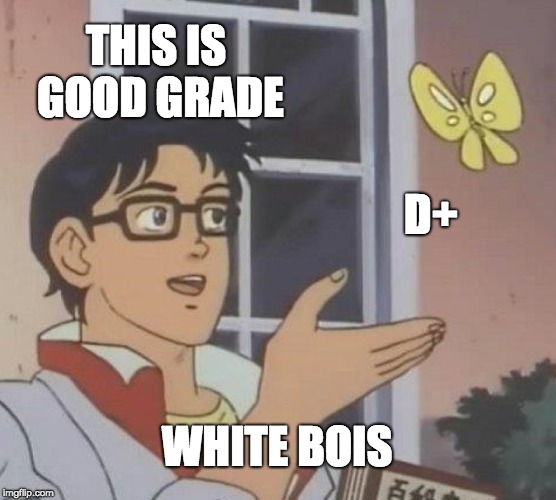 White bois in me skool | THIS IS GOOD GRADE; D+; WHITE BOIS | image tagged in memes,is this a pigeon | made w/ Imgflip meme maker