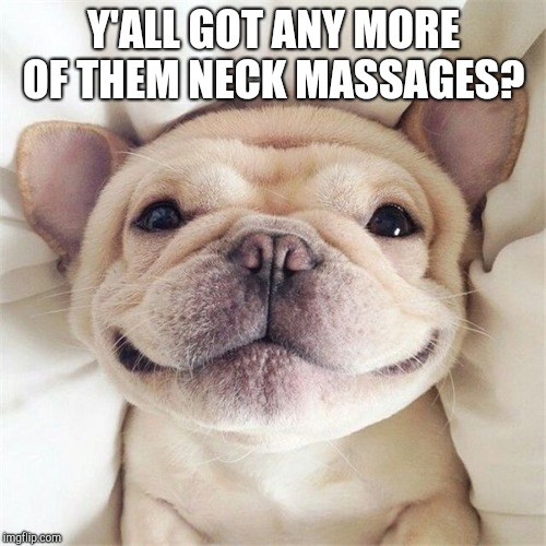 Smiling puppy | Y'ALL GOT ANY MORE OF THEM NECK MASSAGES? | image tagged in smiling puppy | made w/ Imgflip meme maker